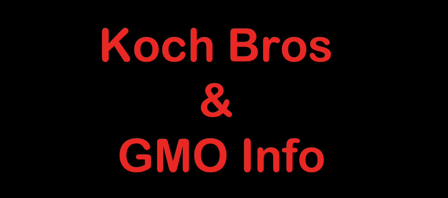 Koch-GMO